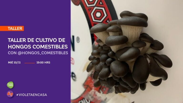 Tiendas de materiales de arte en Fabero: &iquest;D&oacute;nde encontrarlas?